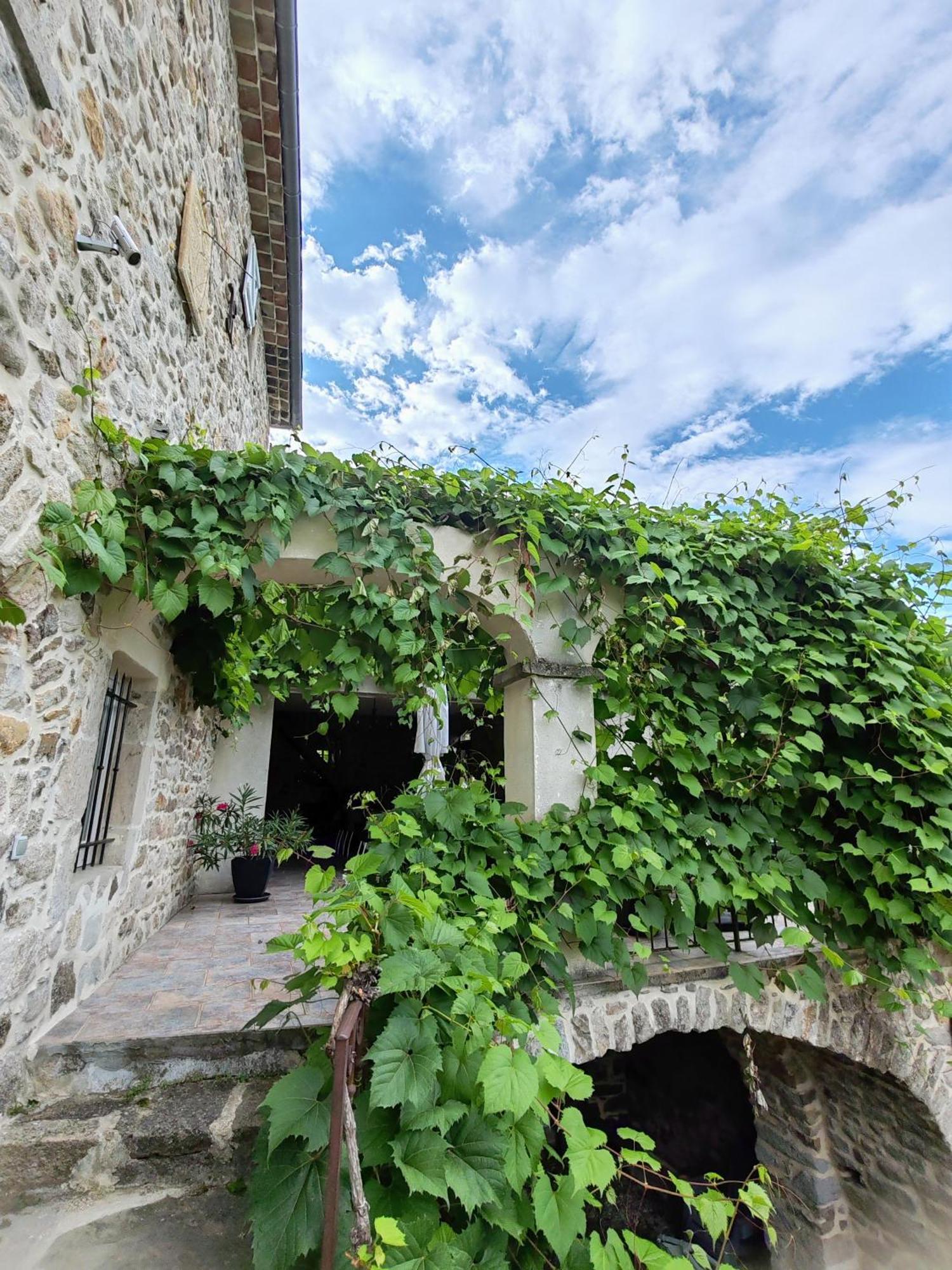 Le Mas De La Musardiere Chambres D Hotes Les Assions エクステリア 写真